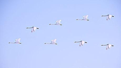 《96 号公路》制作者新作《Tides of Tomorrow》Steam页面 支持简繁体中文